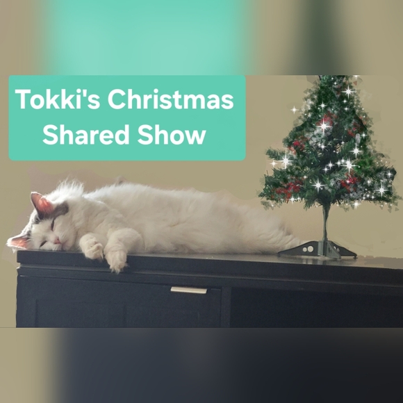 Live Show Flyer - Picture 3 of 10